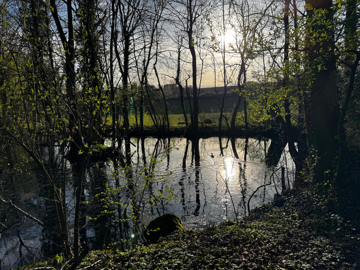 Untitled Untitled