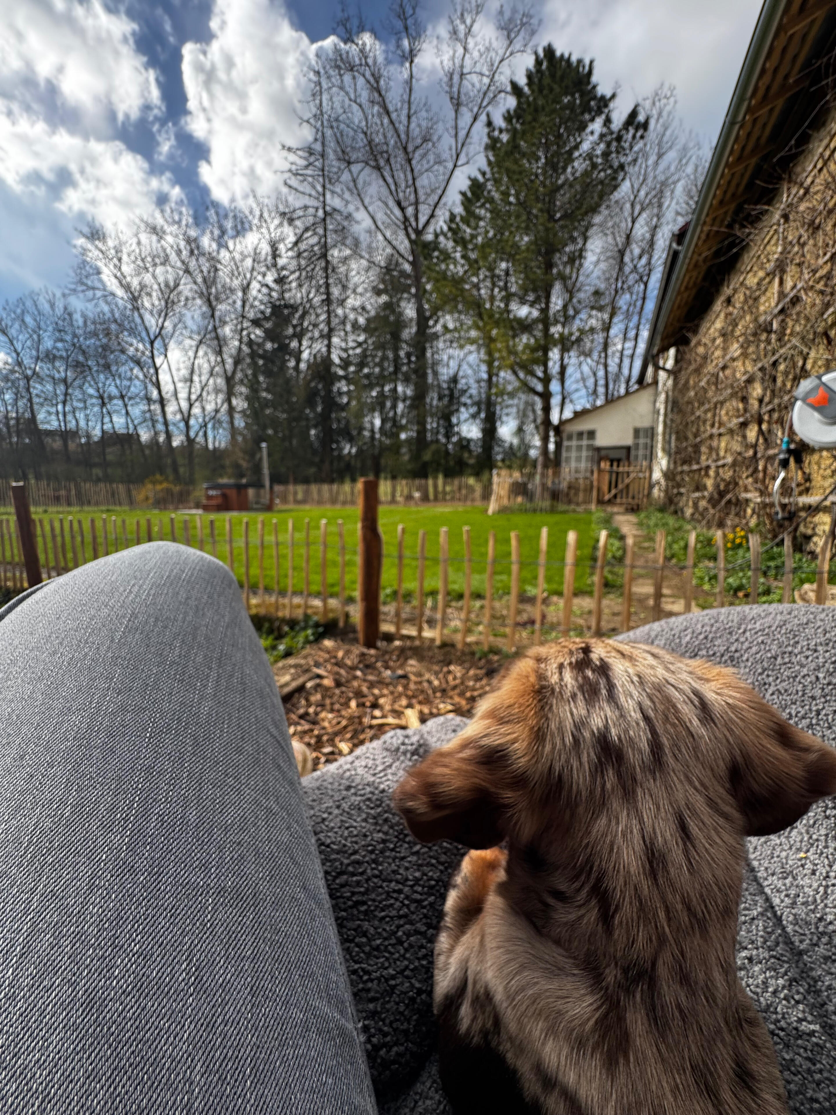 Familiengefühl Familiengefühl